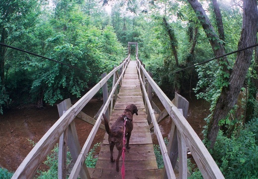 Station Camp Creek, Big South Fork country